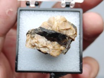 (extremely rare) Japanese rare earth cerium brown curtain stone Allanite-Ce teaching gift mineral specimens collection