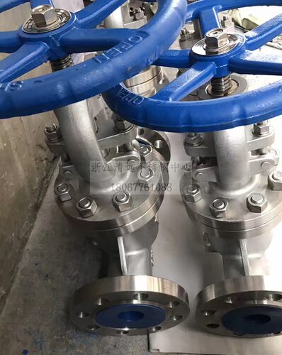 304/316L不锈钢法兰截止阀J41W-16P 全尺寸DN15 25 50 80 100 300 - 图1