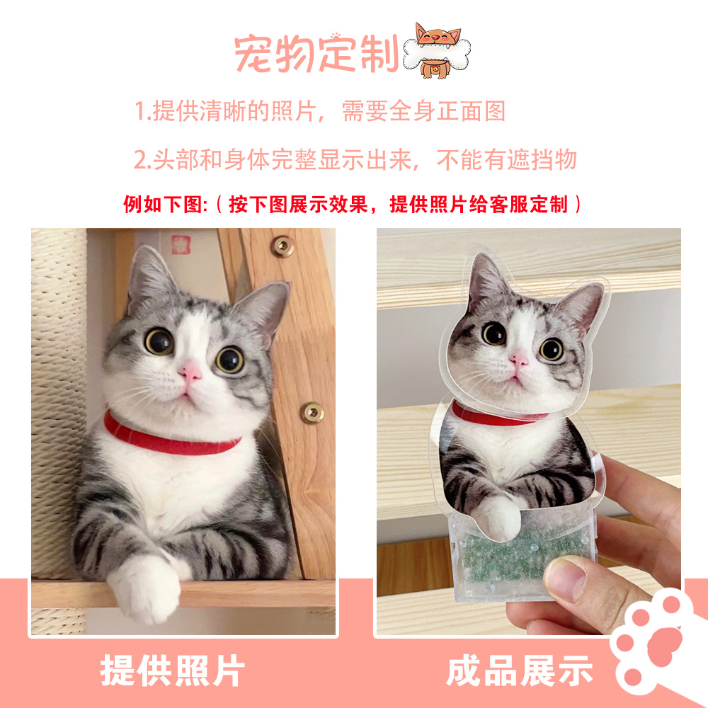 猫咪宠物桌面摇头摆件定制情绪稳定治愈系工位小摆件摇摇乐高级感-图0