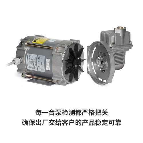 加油站二次油气回收泵国产德国杜尔泵单头双头220V380V真空泵泵头 - 图2