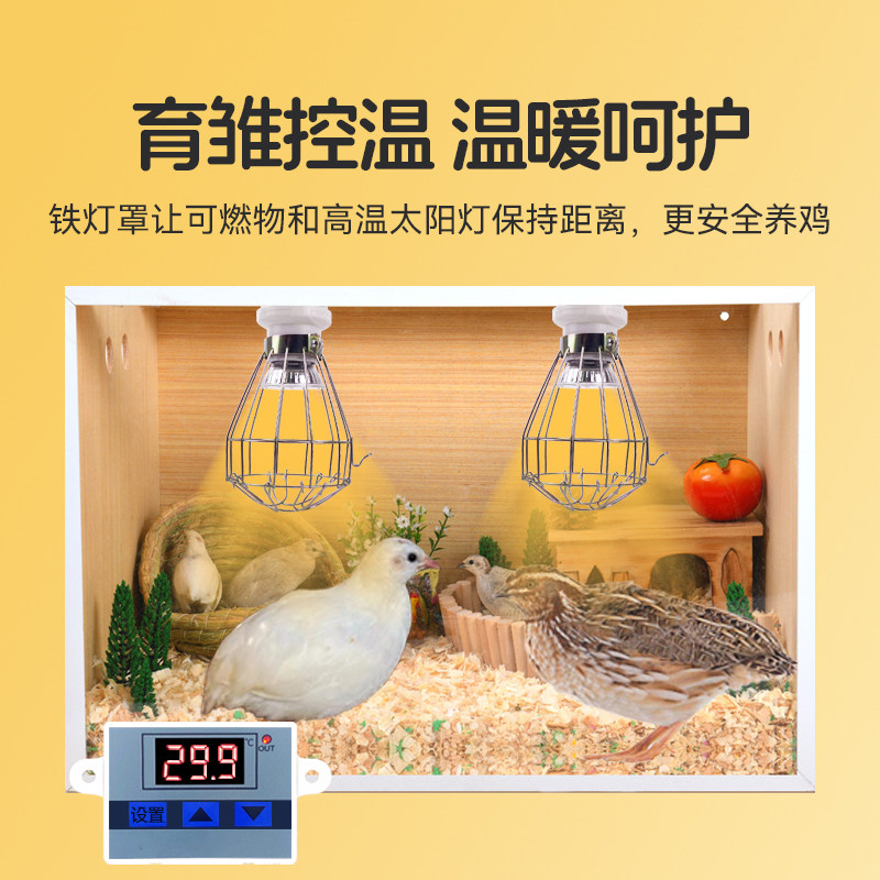 小鸡保温灯芦丁鸡育雏自动恒温控灯养鸭子鹦鹉鹌鹑专用加热取暖灯,淘宝优惠券,粉丝福利购,淘宝优惠卷