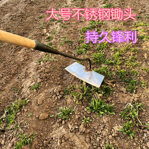大锄头农具不锈钢锄草挖土开荒翻地种菜家用除草专用工具铲草神器 - 图3