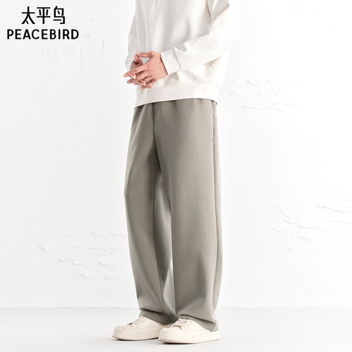 【商场同款】太平鸟男装休闲裤25秋季新款直筒卫裤潮 B1GF3439 - 图0