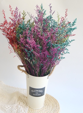 情人草干花花束客永生干燥乾燥花