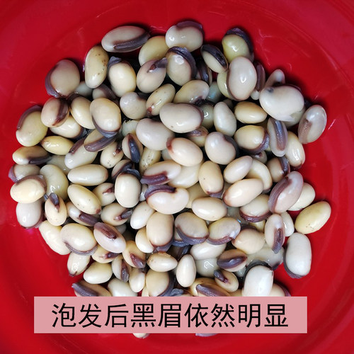 正宗云南白扁豆老品种农家自产小粒带黑边药食同源2斤新货打豆浆 - 图2