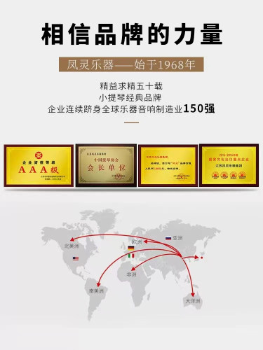凤灵手工大提琴初学者儿童实木云杉枫木成人专业级正品演奏练习 - 图2