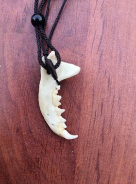 可爱牙下巴骨头潮男潮女情侣项链动物骨骼吊坠装饰标本