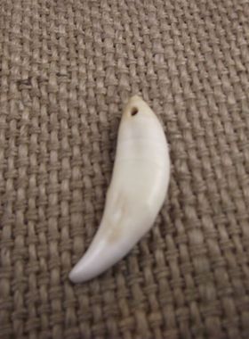 厘米牙齿动物吊坠项链