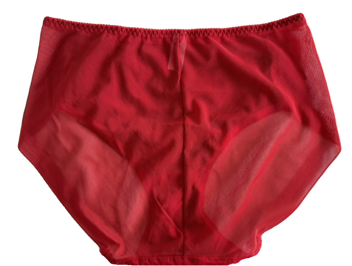 现货秒发红色上新出口韩国原单轻奢大红色蕾丝网眼无痕速干女短裤,淘宝优惠券,粉丝福利购,淘宝优惠卷