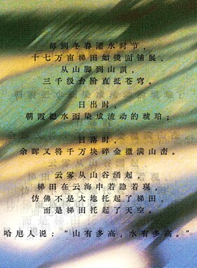LILIANN花香卧室生日香薰送礼