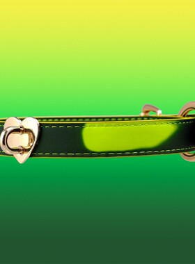 Aura Collar轻奢真皮choker项圈亚文化温感变色爱心项圈牵引绳