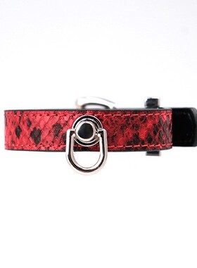 Aura Collar轻奢真皮蛇皮纹手铐道具手环