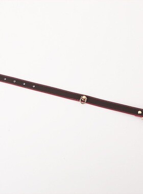 Aura Collar轻奢真皮choker项圈亚文化温感变色轻魅力项圈牵引绳