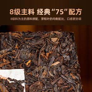 【老同志】7588普洱茶熟茶枣香甜润饱满醇厚经典茶砖可泡可焖可煮