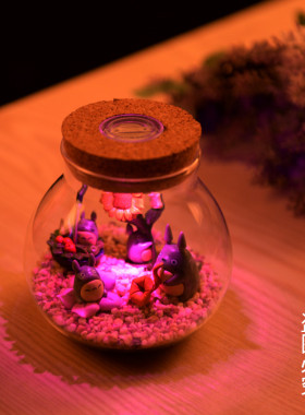 微景观苔藓生态瓶带灯软木塞