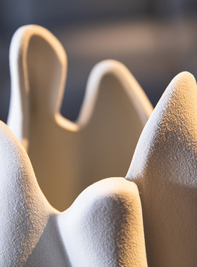 异形磨砂质感陶瓷花瓶插花摆件