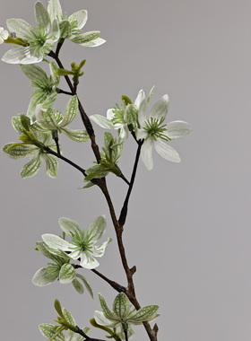 高档仿真长枝蒲公英家居插花摆件