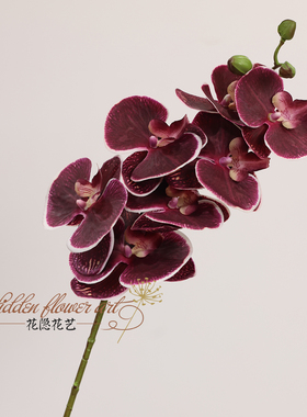 仿真手感蝴蝶兰暗红紫红家居摆件