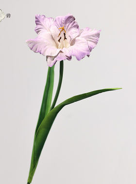 PU仿真鸢尾爱丽丝茶几装饰花