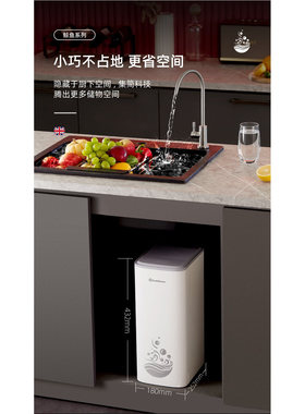 瑞迪生净水器家用直饮机小鲸鱼