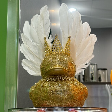 柠檬茶大号鸭子黑天鹅羽毛翅膀鸭diy布灵闪闪鸭周边摆件