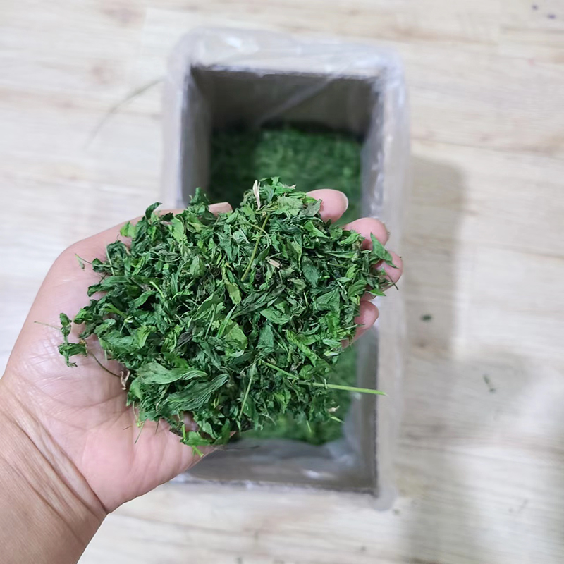 新烘干苜蓿草叶子兔子龙猫豚鼠干草饲料粮食牧草有些嫩杆毛重2斤 - 图3