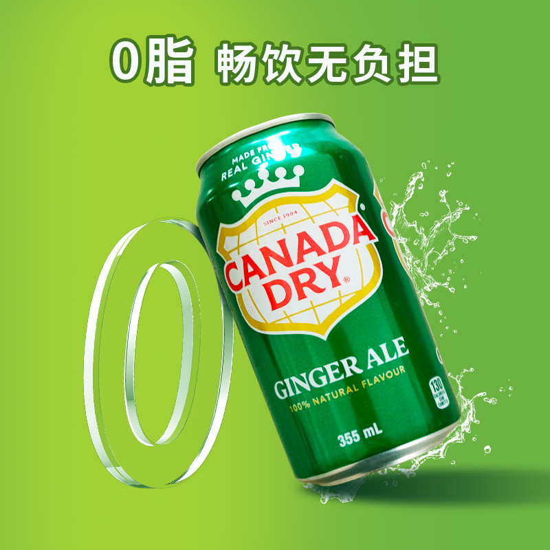 加拿大进口Canada dry生姜Ginger Ale干姜水姜味汁汽水饮料355ml - 图1