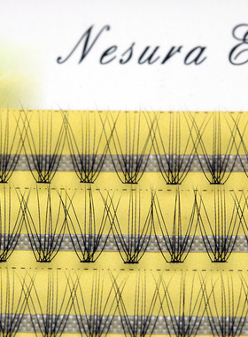 韩国稻草人十根种植嫁接眼睫毛