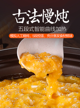 全自动电炖大功率砂锅陶瓷快炖