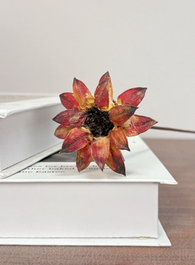 组合花植物装饰品卧室客厅摆件