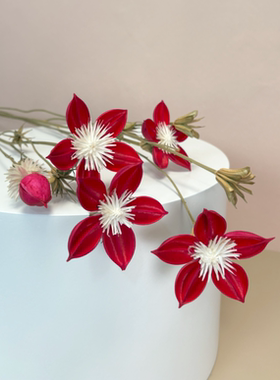富贵美人干花花束插花花材