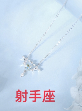 s925纯银十二星座双鱼座双子座处女座狮子座天蝎座项链吊坠锁骨链
