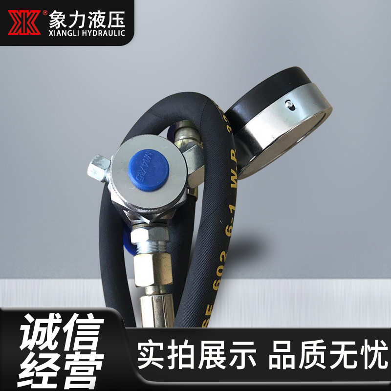 现货液压蓄能器CQJ-25剪板机充气工具 剪板机充氮工具 充气阀25Mp - 图2