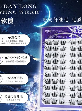 颖睫北极光单簇卷翘轻盈假睫毛