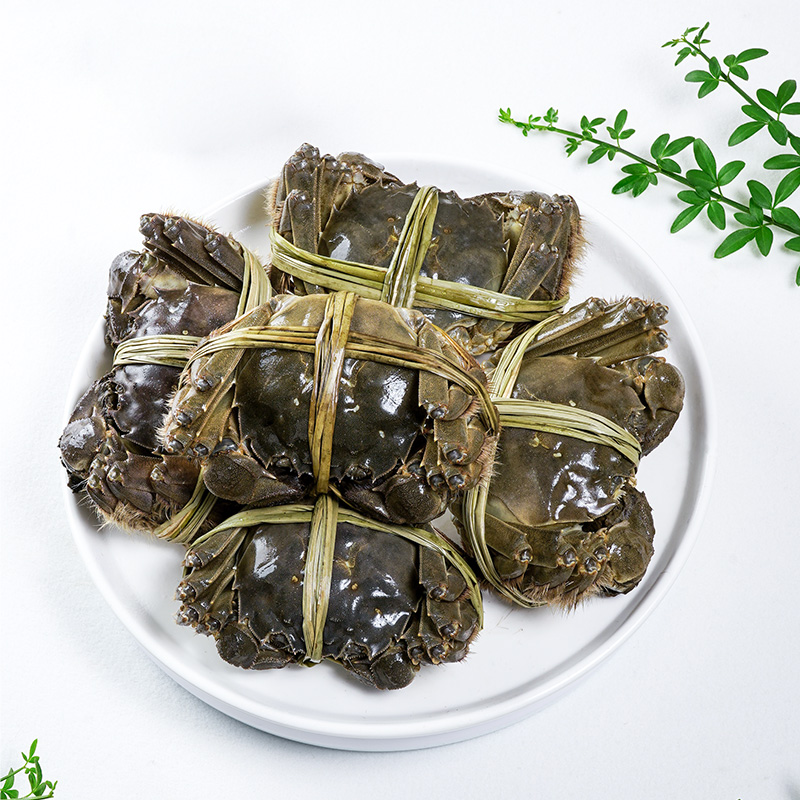 【活蟹】苏蟹阁大闸蟹礼盒1688型高级品质8只母3.5两鲜活螃蟹现货 - 图2