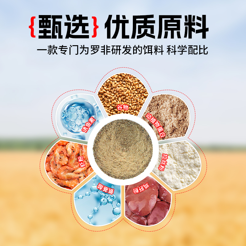 商品详情图片