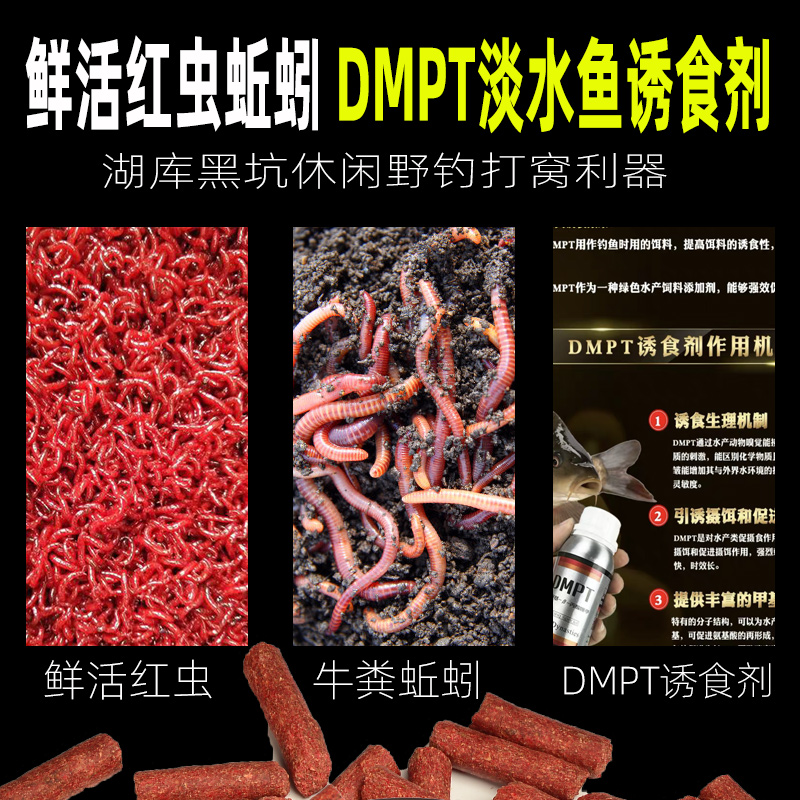 钓鱼专用红虫蚯蚓颗粒打窝料散装皮筋颗粒野钓鲫鱼鲤鱼通杀鱼饵料 - 图1