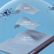 Modal Ice Silk Seamless Summer ຊຸດຊັ້ນໃນຂອງຜູ້ຊາຍບາງໆ