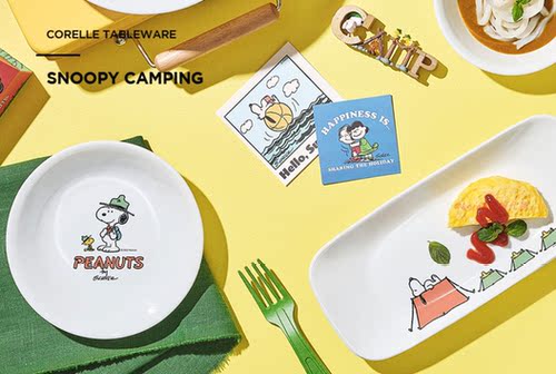 韩国代购美国康peanuts 露营史努比snoopy 圆碟 限定单品杯套装 - 图0