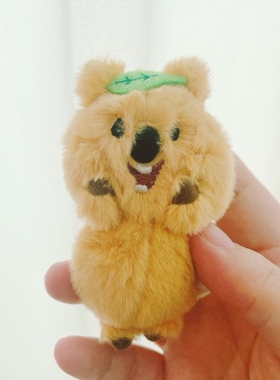 棕熊柿子椒熊quokka可爱袋鼠挂件