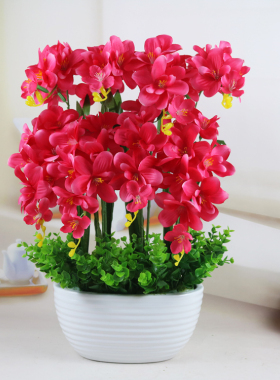 仿真盆栽摆件电视柜塑料蝴蝶兰花