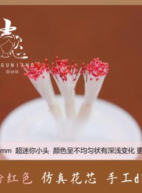 0.4mm超迷你仿真花芯花蕊花心