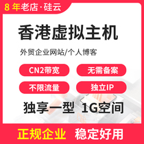 Hong Kong virtual host exclusive 1G Alibaba Cloud same computer room domain name free website space website building server