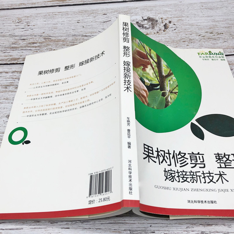 果树修剪、整形嫁接栽培与病虫害防治新技术苹果梨葡萄杏桃李樱桃果园规划果树发展概况分类及概况定植栽培技术整形概述常见树形 - 图0