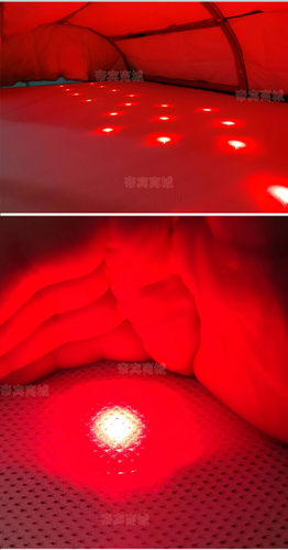 炎帝生物东矿碧玺频谱床垫热疗三迪爱加分3D立体养生睡吧能量舱 - 图3