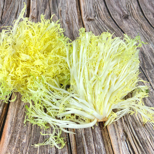 新鲜黄心苦菊500g 苦细叶 苦叶生菜苦苣 狗牙生菜 蔬菜沙拉食材 - 图0