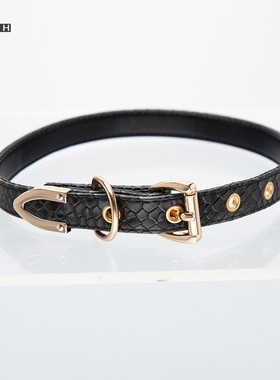 多色蛇皮带扣项圈PUPPY小众情侣有趣脖颈链choker亚文化脖环颈带