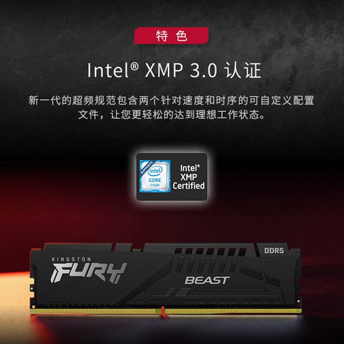 Kingston/金士顿Beast野兽FURY 16G/32G DDR5 6000台式电脑内存条 - 图0