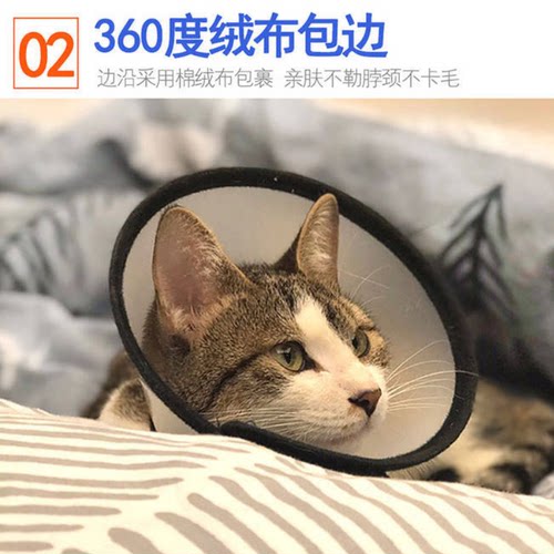 伊丽莎白圈狗狗防舔头套猫咪项脖圈套防咬抓挠绝育手术大型犬防水 - 图2