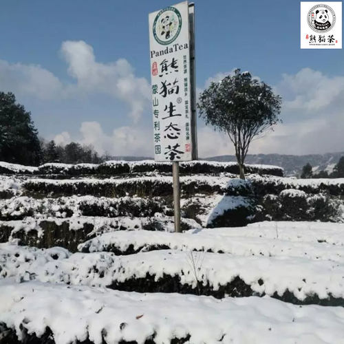 熊猫茶四川特产蒙顶茉莉花茶小包装飘雪芽礼盒装茶叶新茶特级-图3